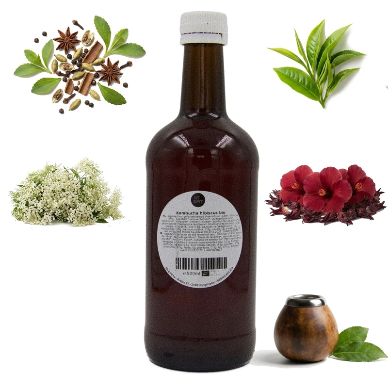 Kombucha Proefpakket bio