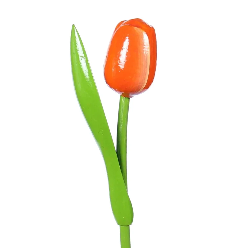 Wooden Tulip, Orange White