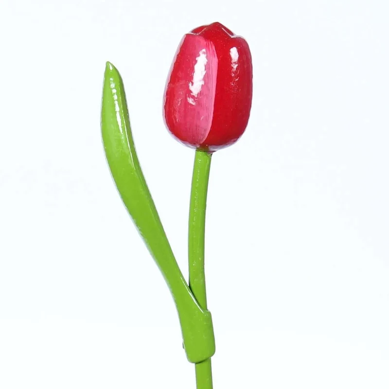 Wooden Tulip, Red White