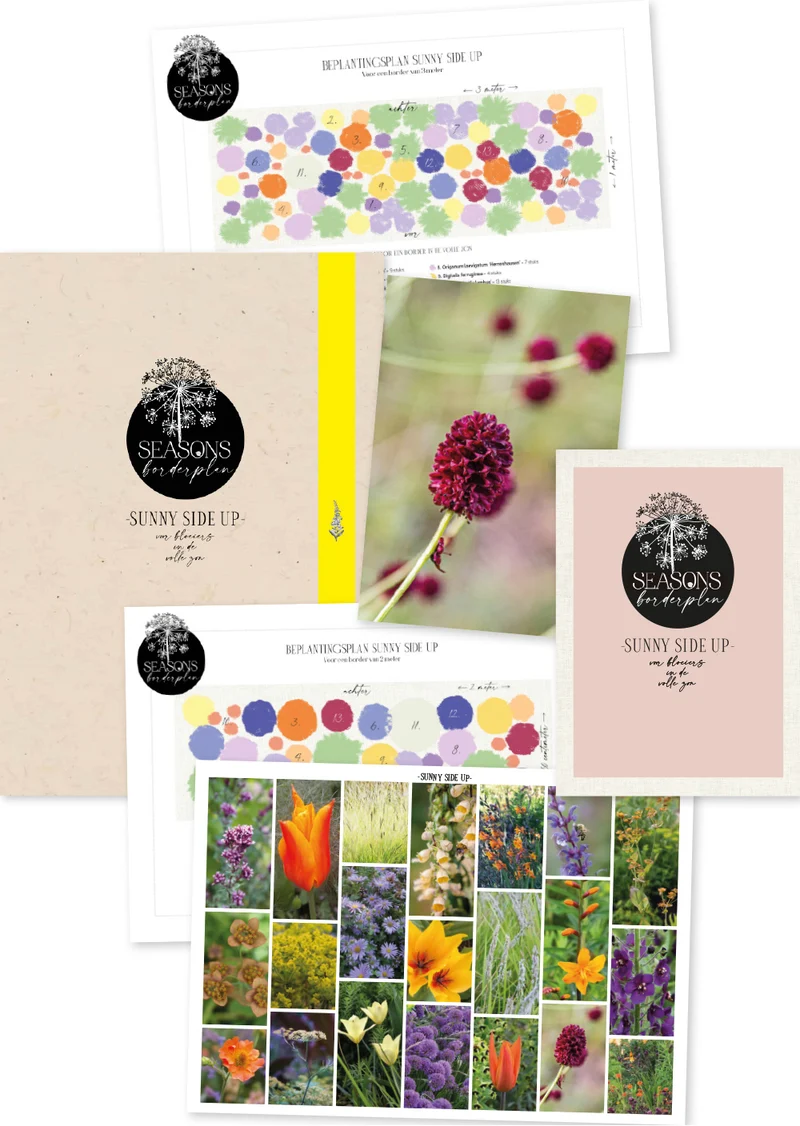 Seasons Borderplan 'Sunny Side Up'