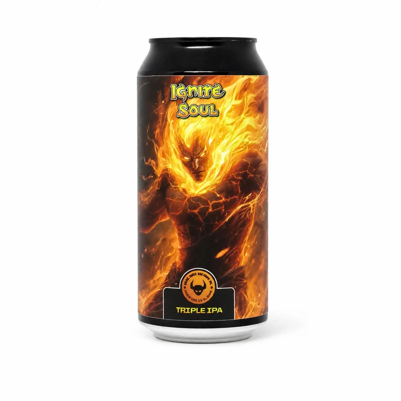 Game Over Ignite Soul | TIPA