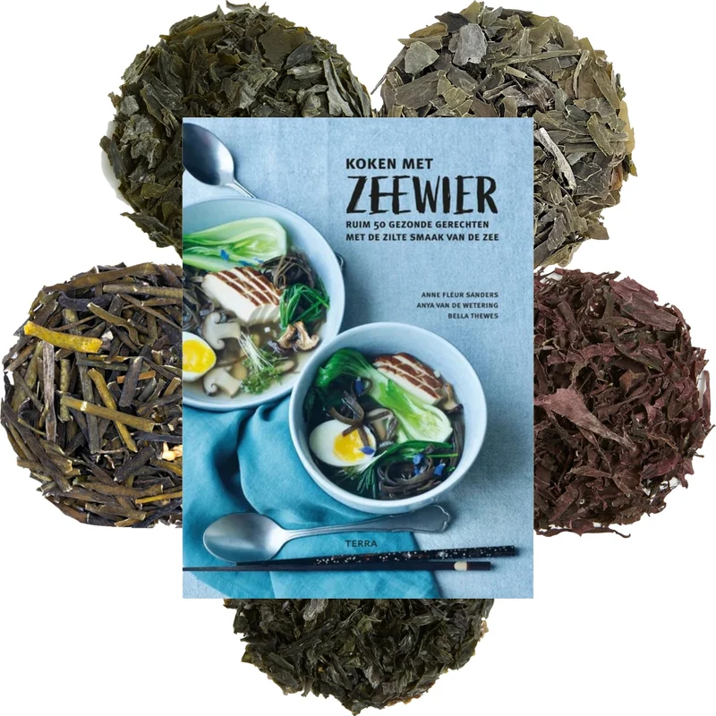 Starten met zeewier