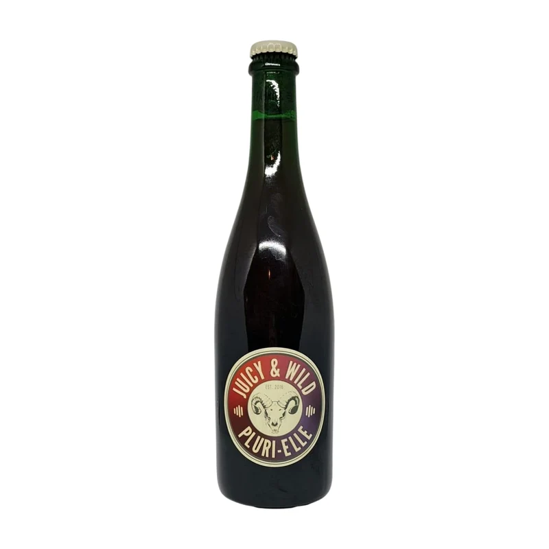 Lambiek Fabriek Juicy & Wild Pluri-Elle | Lambic Fruit