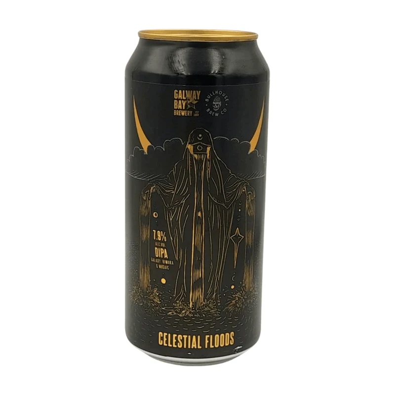 Galway Bay Celestial Floods | DIPA