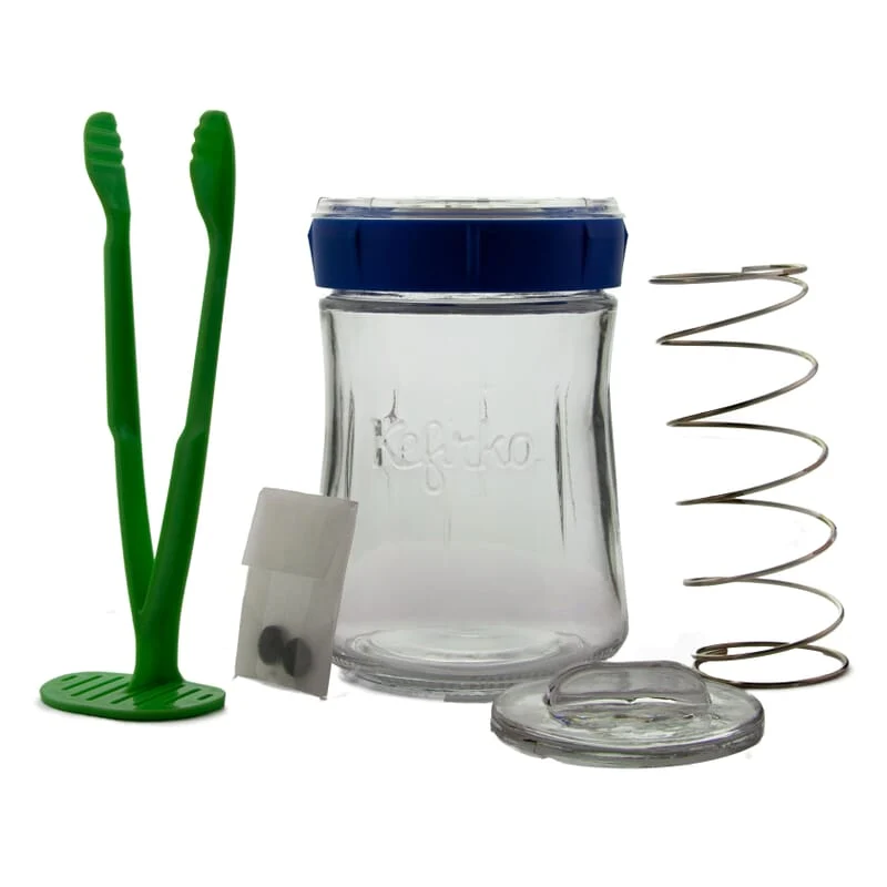 Groenten fermentatiepot