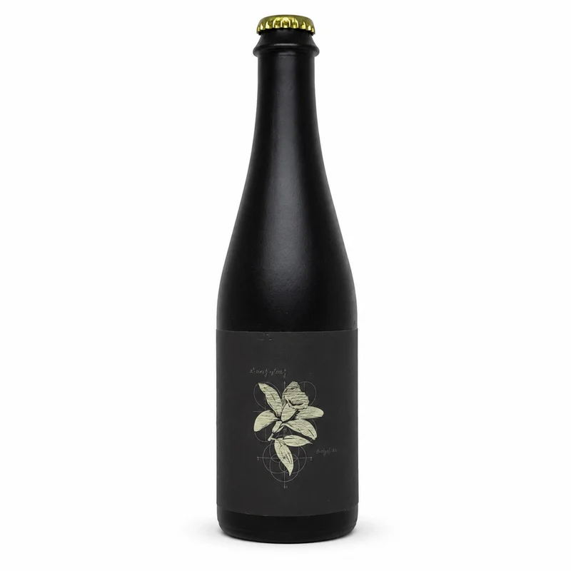 3 Sons Brewing Co. Fractional BA Vanilla Bean Dream | BA Stout