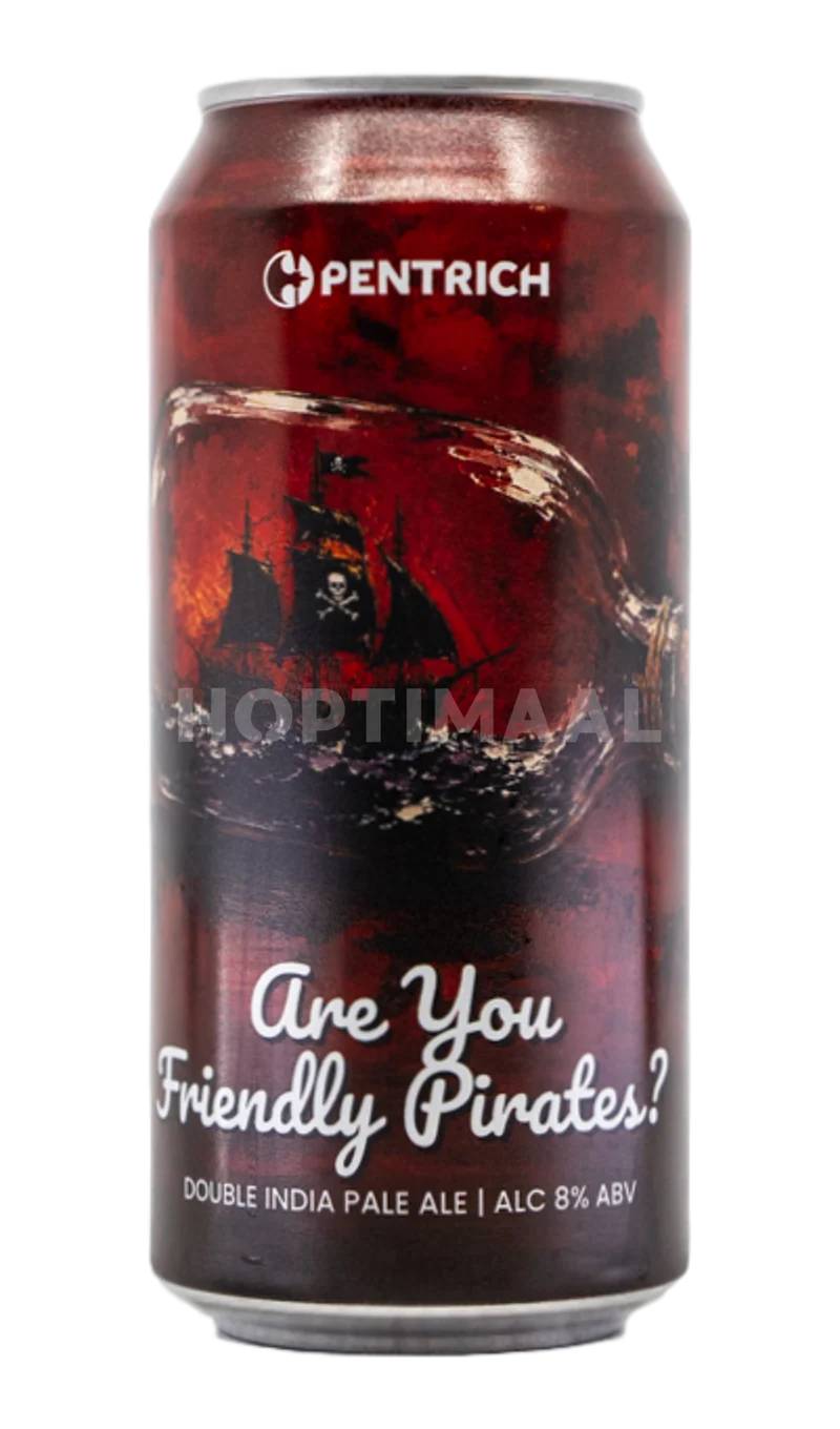 Pentrich Are You Friendly Pirates
