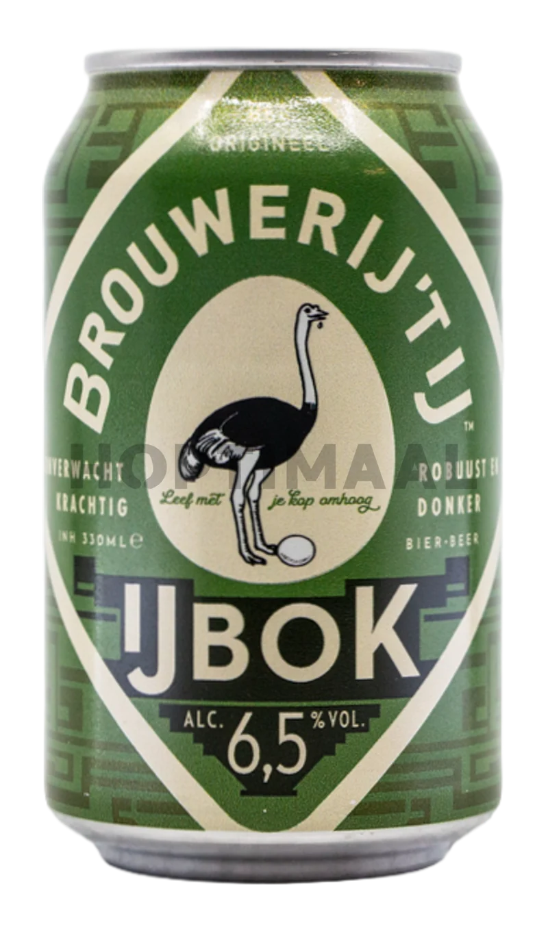 't IJ IJbok