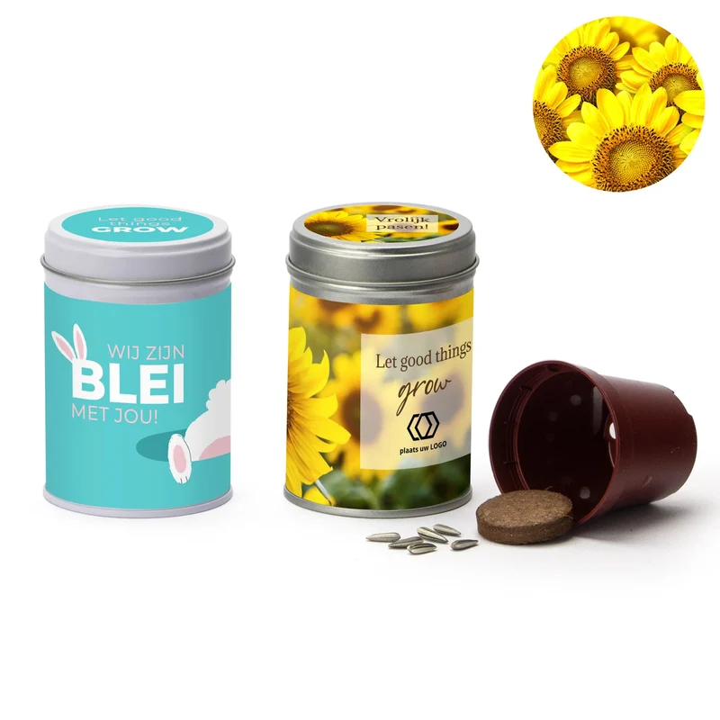 Zonnebloem kweeksetje met eigen wikkel - Pasen