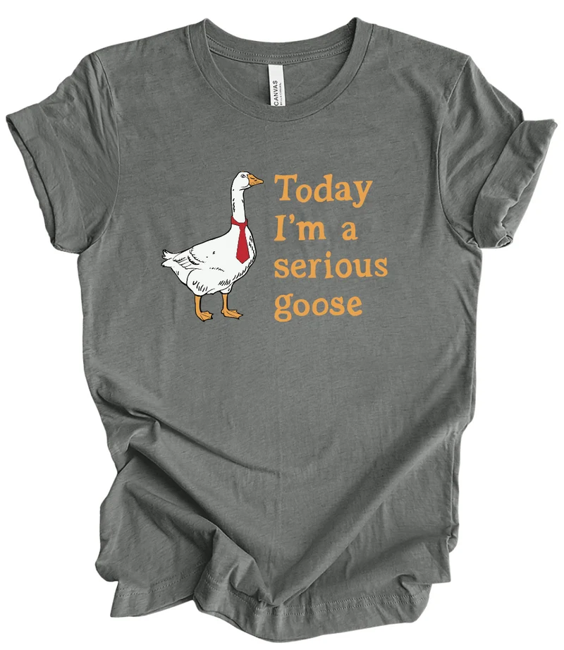 Today I'm a Serious Goose
