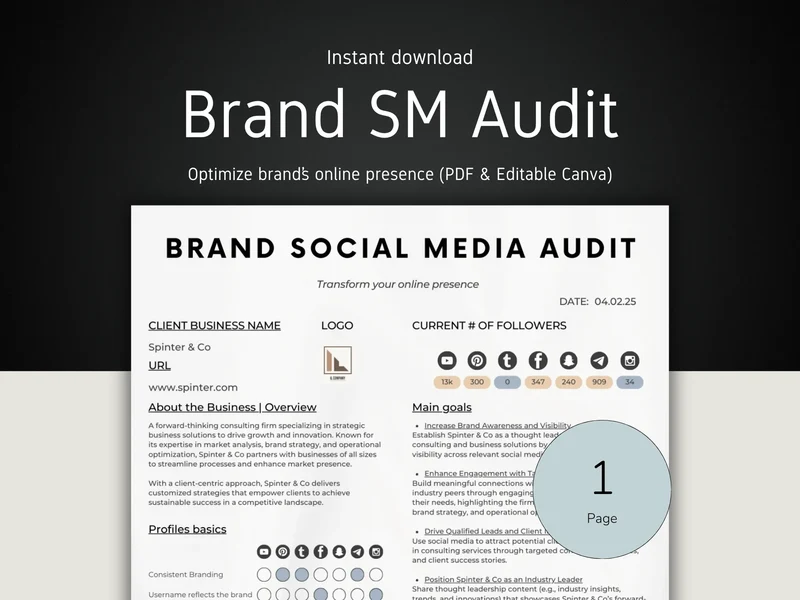 Brand Audit Template: Social Media Performance Check