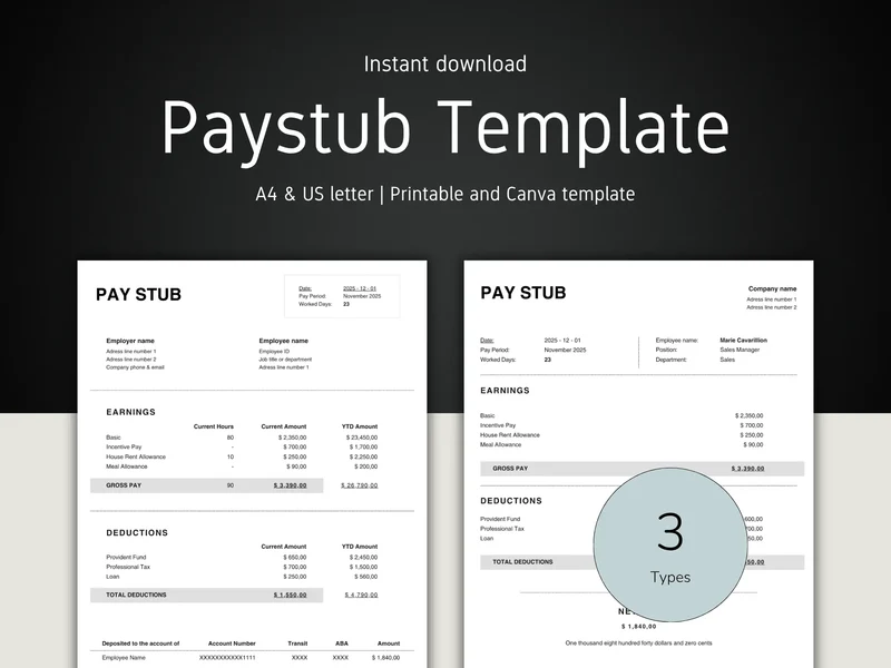 Blank Pay Stub Template for Employees & 1099 Contractors