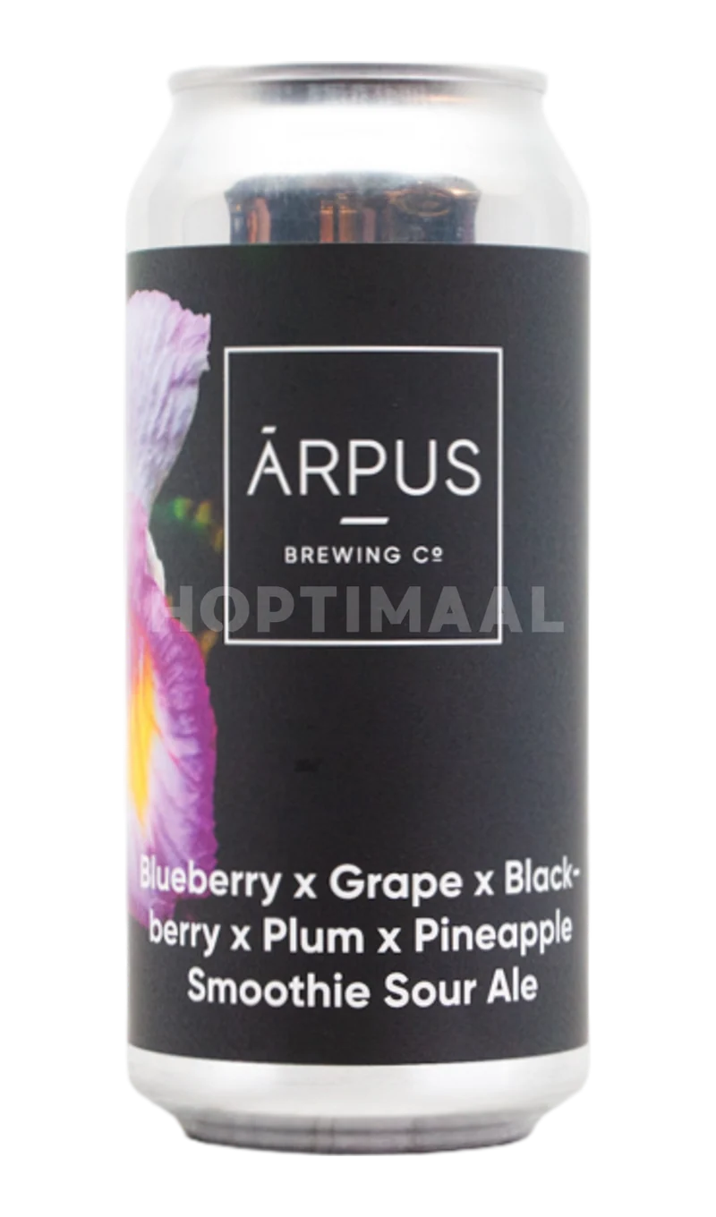 Arpus Blueberry X Grape X Blackberry X Plum X Pineapple Smoothie Sour Ale
