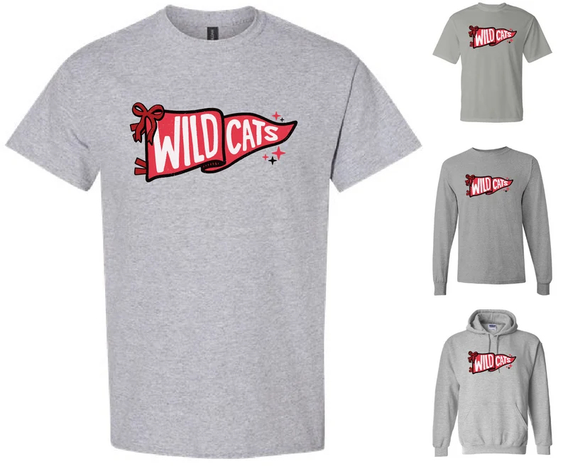Wildcats Pennant