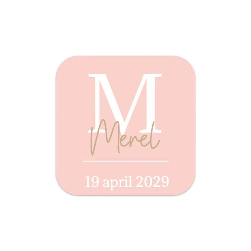 Stickers 15 stuks (5 x 5cm) - Geboorte meisjes