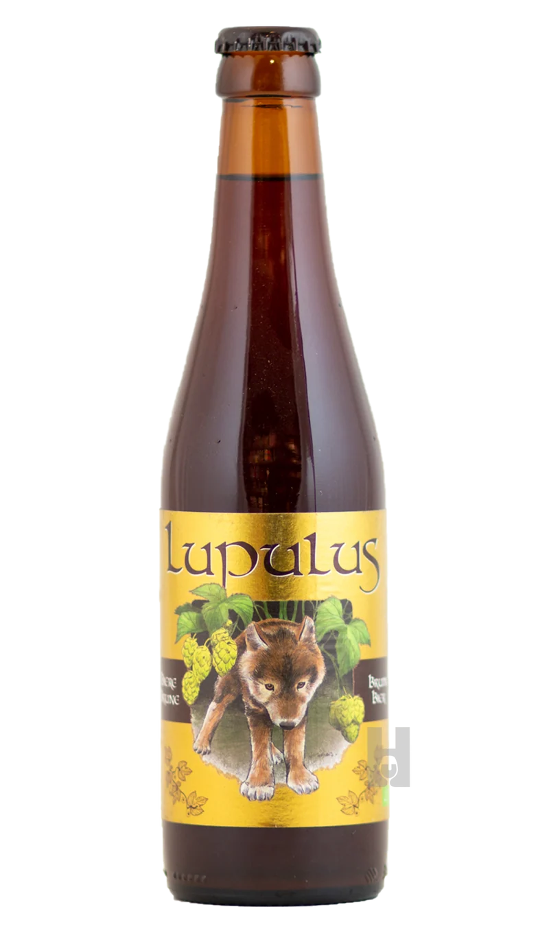 Lupulus Brune