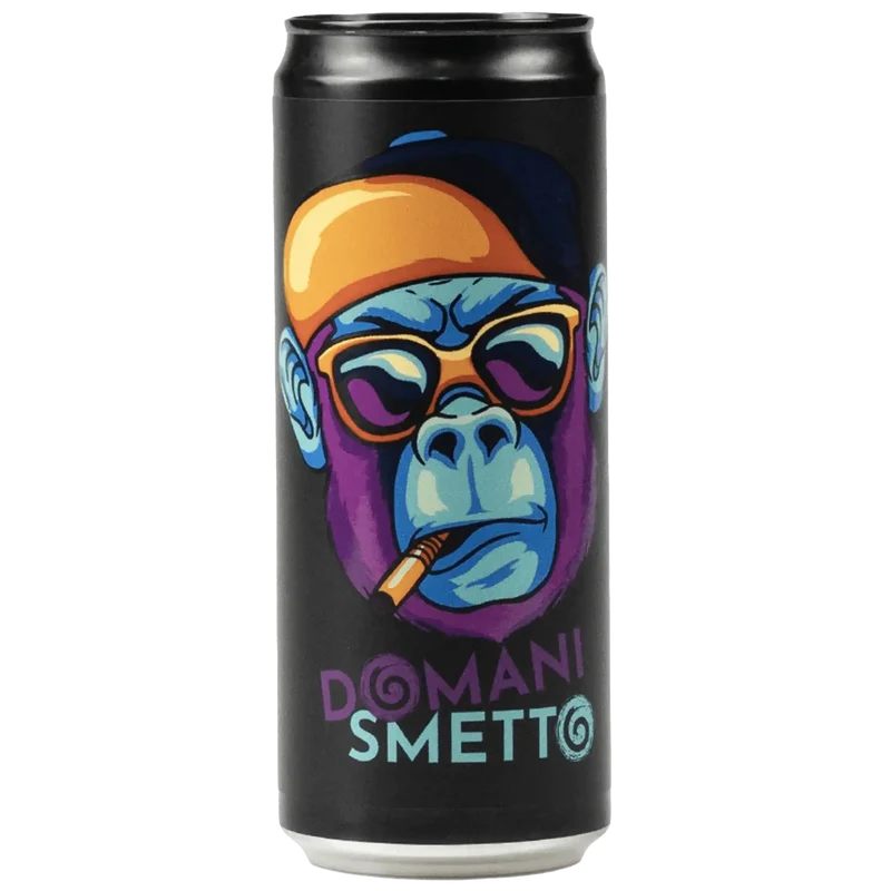 Domani Smetto