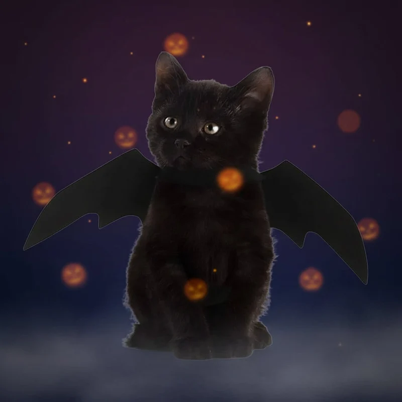 Accessori Halloween Costumi Animali Decorazioni Festive