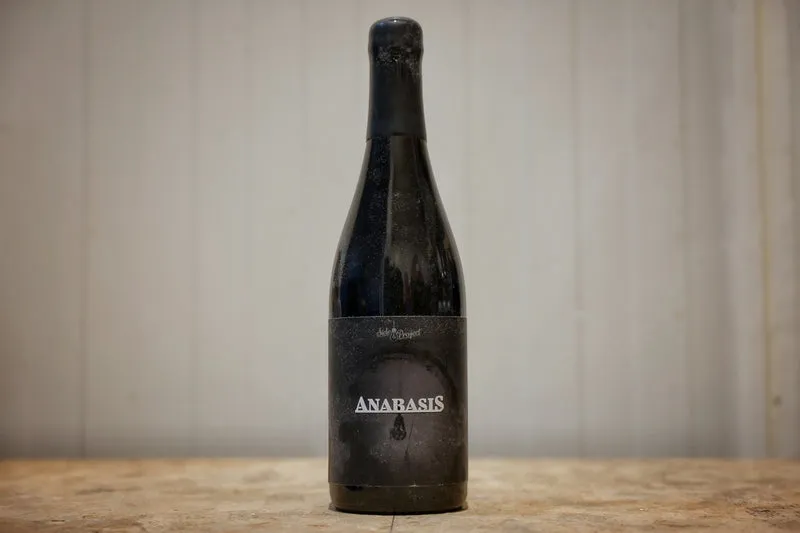 Side Project - Anabasis (2025)