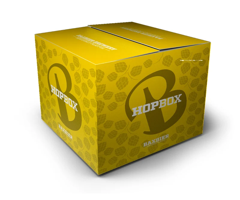 Hopbox 12 Bieren - Bax Bier