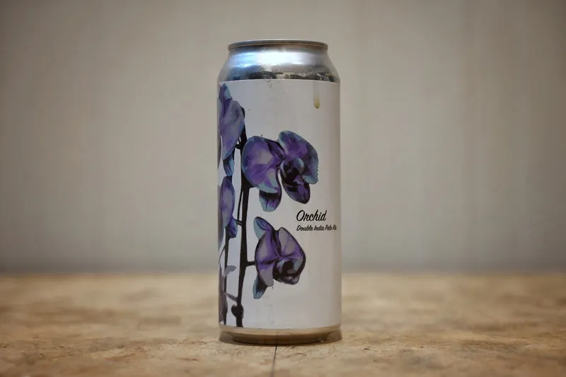 Fidens - Orchid