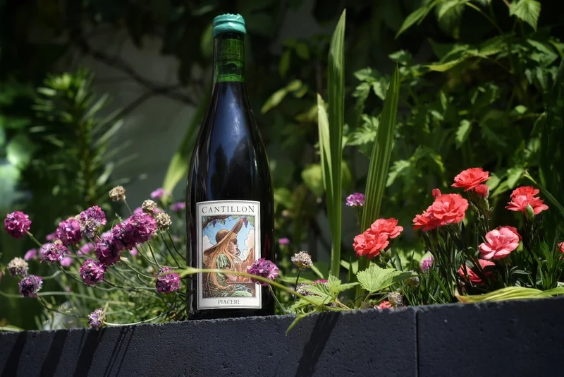 Cantillon - Piacere (2024)