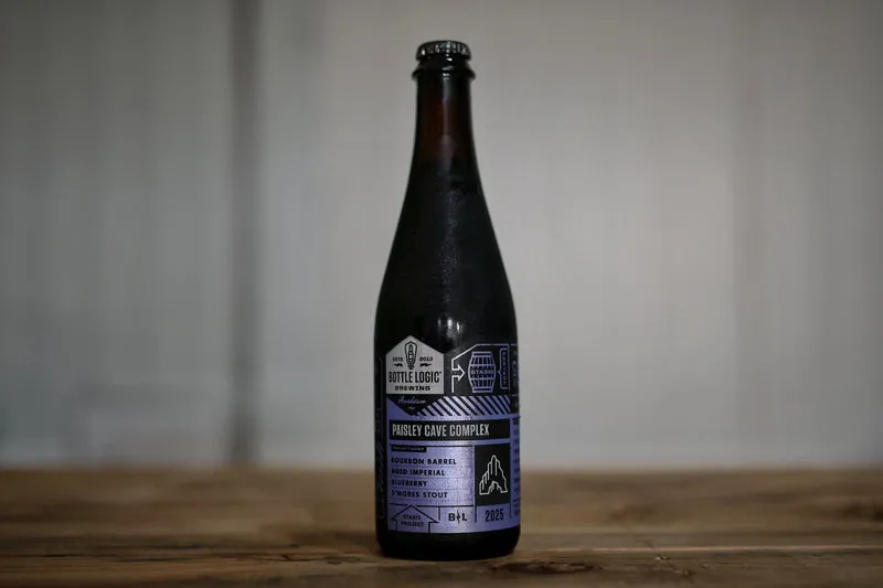 Bottle Logic - Paisley Cave Complex (2025)