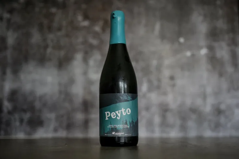 Perennial - Peyto (2025)