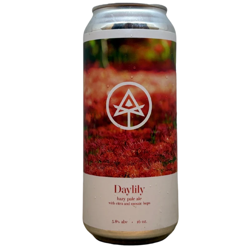 Autodidact - Daylily