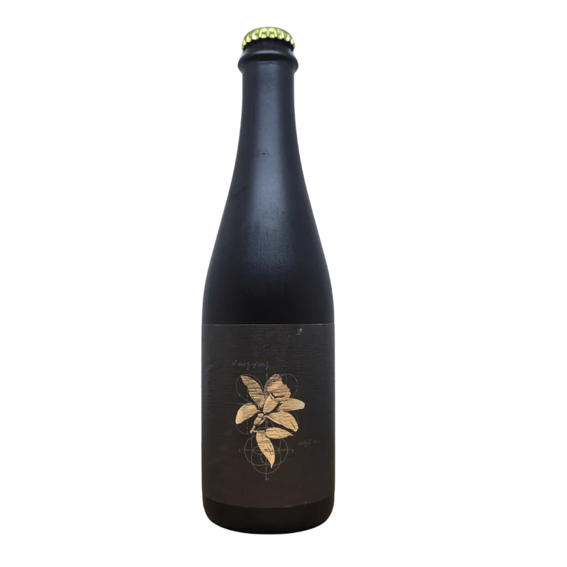 3 Sons - Fractional BA Vanilla Bean Dream