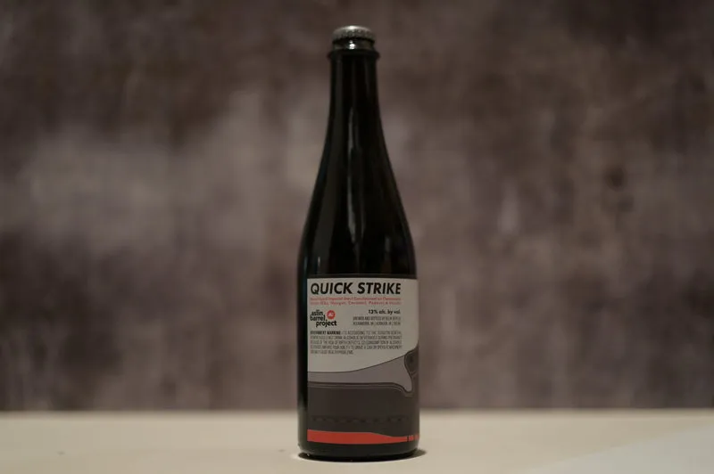 Aslin - Quick Strike