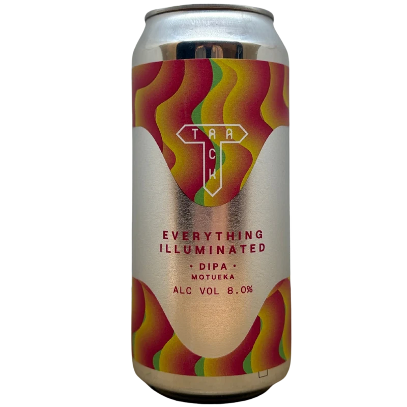 Track - Everything Illuminated