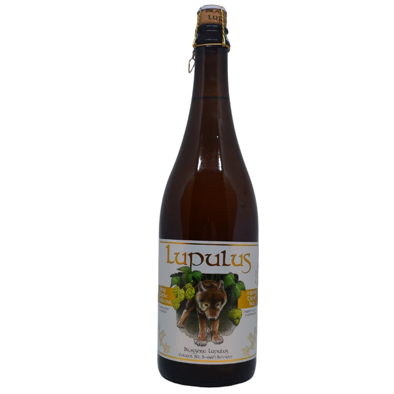 Brasserie Lupulus - Lupulus Blonde