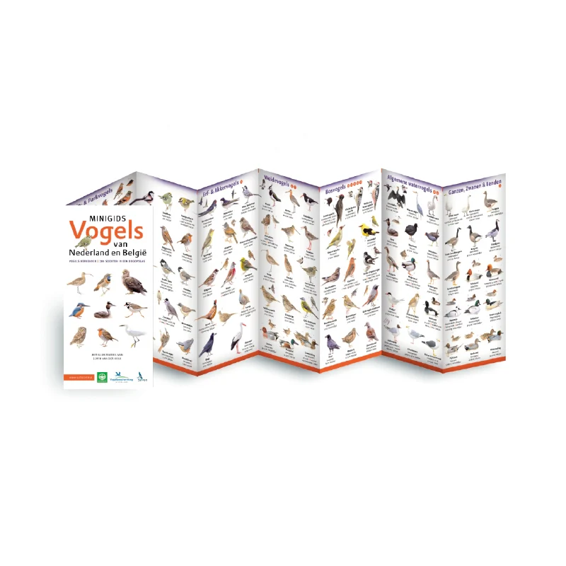 Minigids Vogels