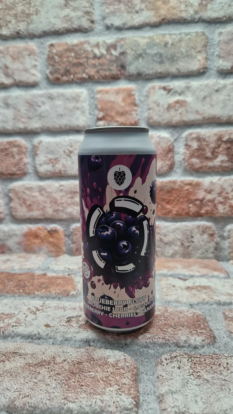 Brouwerij Lost BLUEBERRY FLUFF Sour - 50 CL