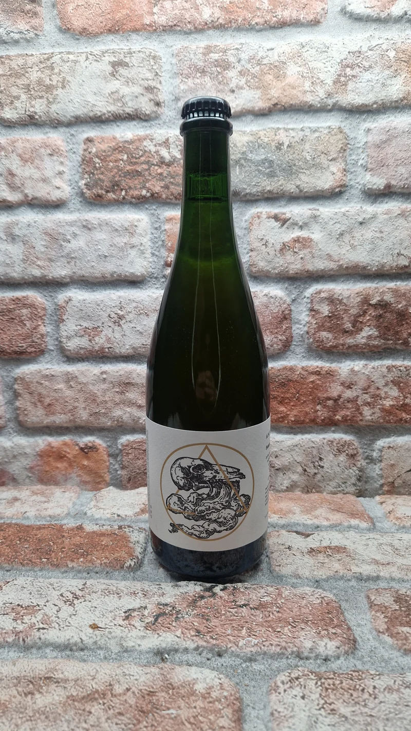 Antidoot Future Primitive 2025 Ale - 75 CL
