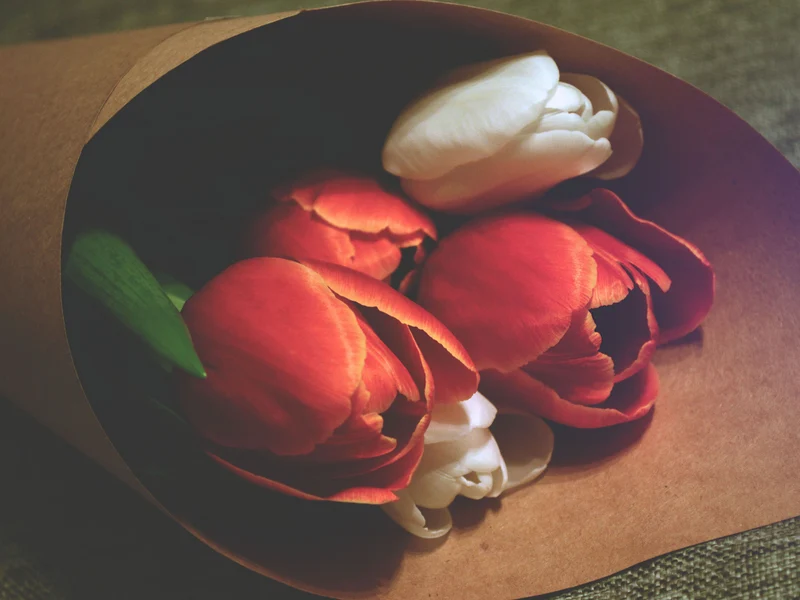 Bouquet of Tulips