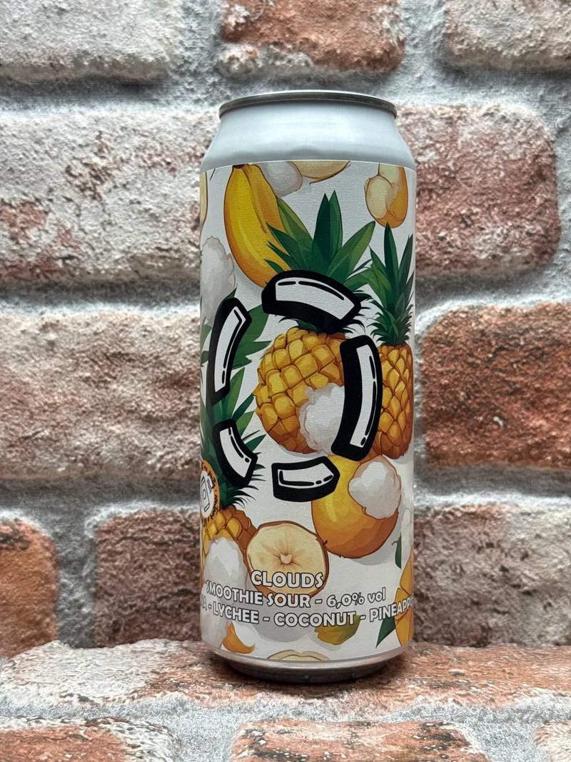 Brouwerij LOST CLOUDS Sour - 50 CL
