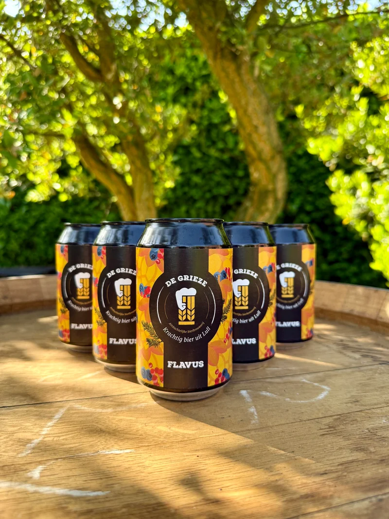 Flavus | 5 Blikken