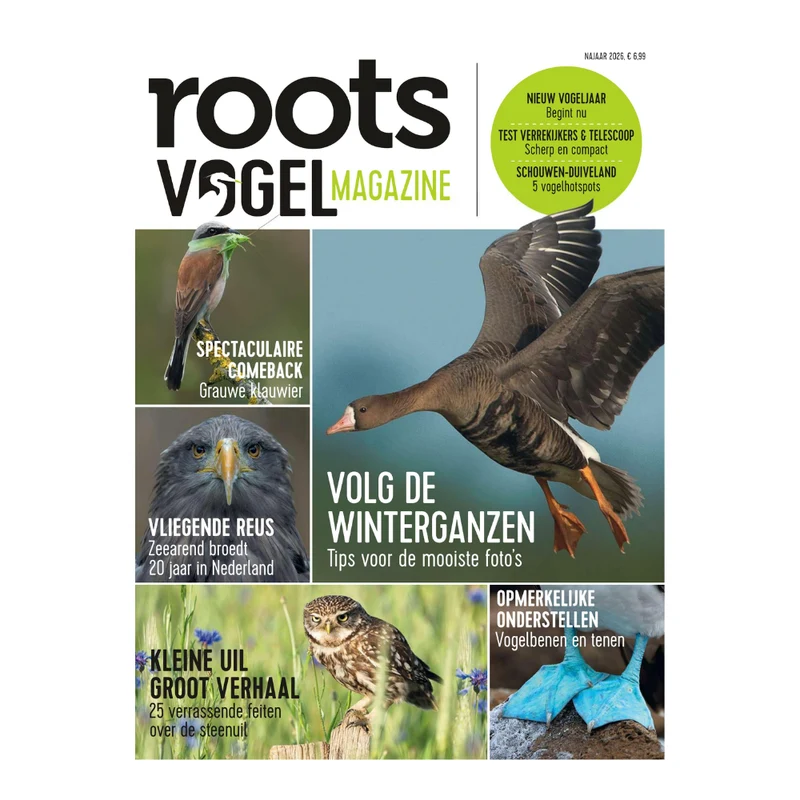 Vogelmagazine - najaar 2026