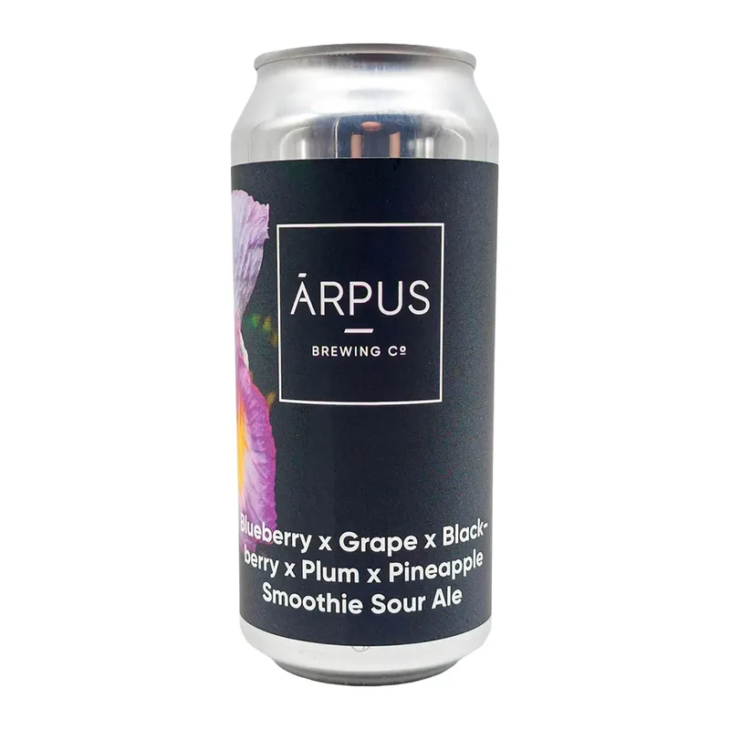 Ārpus - Blueberry X Grape X Blackberry X Plum X Pineapple Smoothie Sour Ale