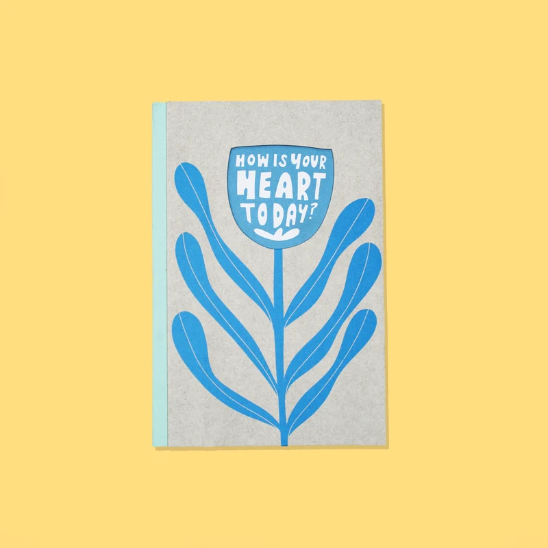 Flow notebook - How is your heart today