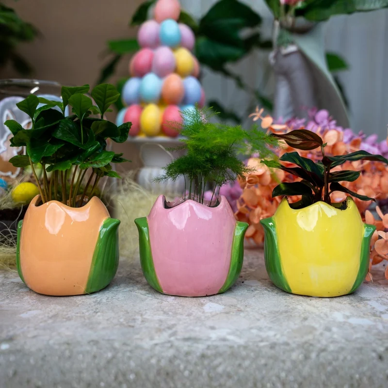 Paas plantenpot set - Tulp potjes met mini planten - Set van 3